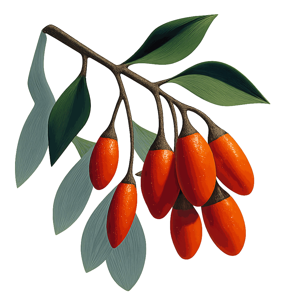 Goji berry